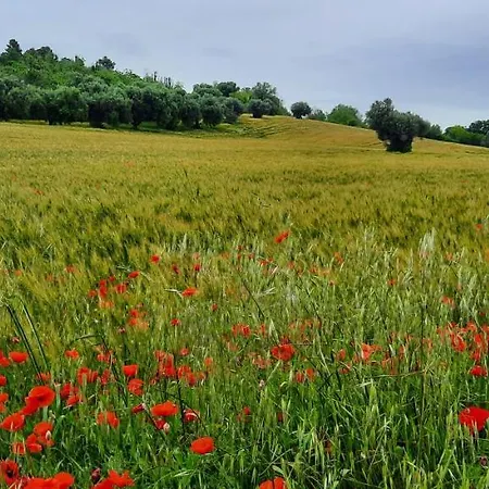 In Contesto Esclusivo In Pieno Centro * Camerano