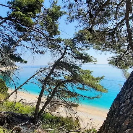 In Contesto Esclusivo In Pieno Centro Διαμέρισμα Camerano