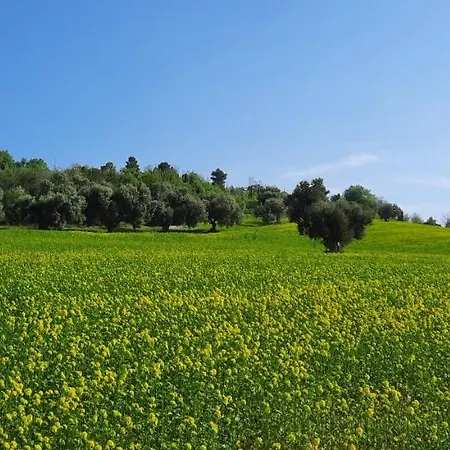 In Contesto Esclusivo In Pieno Centro Διαμέρισμα