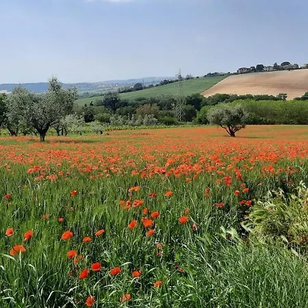 In Contesto Esclusivo In Pieno Centro Apartment