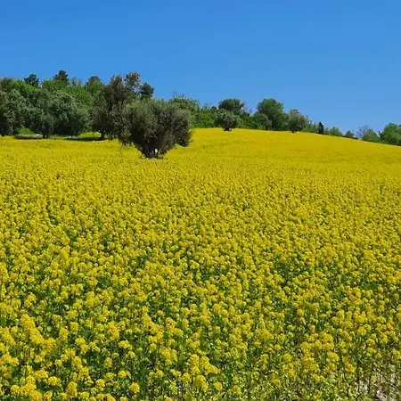 Апартаменты In Contesto Esclusivo In Pieno Centro