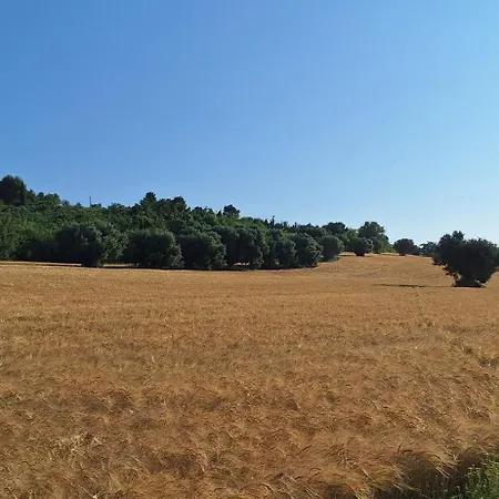 In Contesto Esclusivo In Pieno Centro Апартаменты